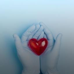 Clinique du Centre - Chirurgie cardiovasculaire et thoracique