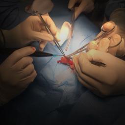 Clinique du Centre - Chirurgie Urologique